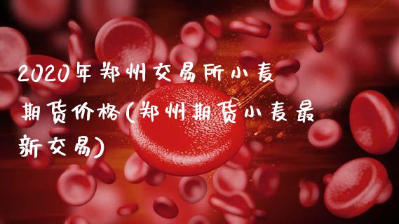 2020年郑州交易所小麦期货价格(郑州期货小麦最新交易)_https://www.zghnxxa.com_期货直播室_第1张