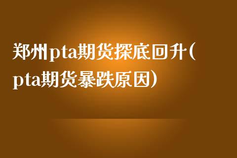 郑州pta期货探底回升(pta期货暴跌原因)_https://www.zghnxxa.com_黄金期货_第1张