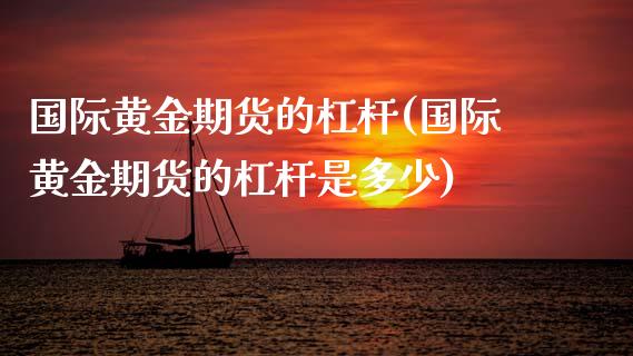 国际黄金期货的杠杆(国际黄金期货的杠杆是多少)_https://www.zghnxxa.com_国际期货_第1张