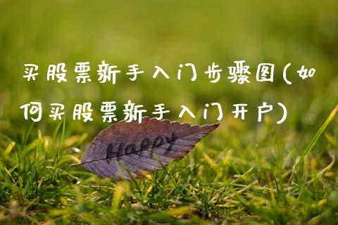 买股票新手入门步骤图(如何买股票新手入门开户)_https://www.zghnxxa.com_期货直播室_第1张