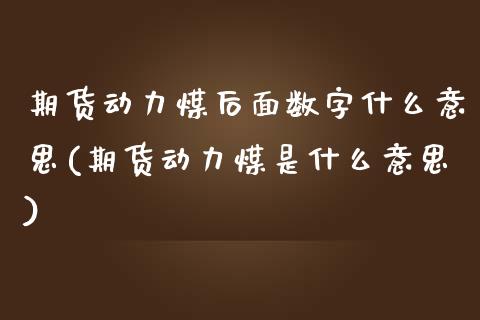 期货动力煤后面数字什么意思(期货动力煤是什么意思)_https://www.zghnxxa.com_黄金期货_第1张