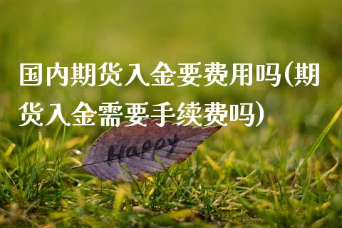 国内期货入金要费用吗(期货入金需要手续费吗)_https://www.zghnxxa.com_国际期货_第1张