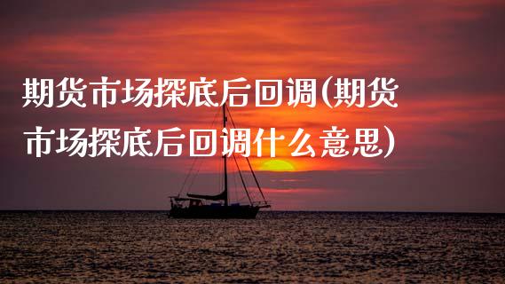 期货市场探底后回调(期货市场探底后回调什么意思)_国际期货_第1张_期货直播室 期货市场探底后回调(期货市场探底后回调什么意思)_https://www.zghnxxa.com_国际期货_第1张