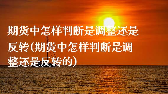 期货中怎样判断是调整还是反转(期货中怎样判断是调整还是反转的)_https://www.zghnxxa.com_黄金期货_第1张