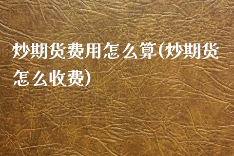 炒期货费用怎么算(炒期货怎么收费)_https://www.zghnxxa.com_内盘期货_第1张