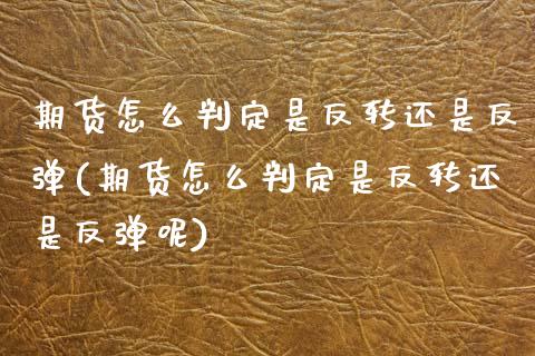 期货怎么判定是反转还是反弹(期货怎么判定是反转还是反弹呢)_https://www.zghnxxa.com_内盘期货_第1张
