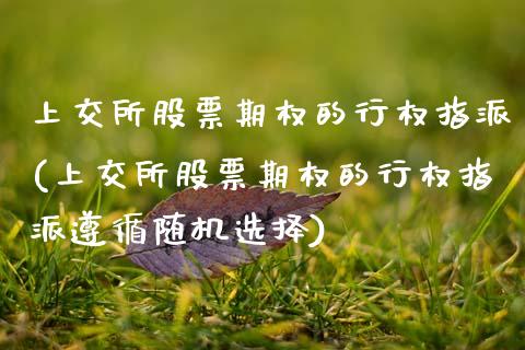 上交所股票期权的行权指派(上交所股票期权的行权指派遵循随机选择)_https://www.zghnxxa.com_国际期货_第1张