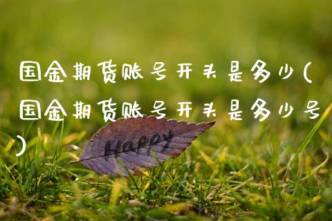 国金期货账号开头是多少(国金期货账号开头是多少号)_https://www.zghnxxa.com_黄金期货_第1张
