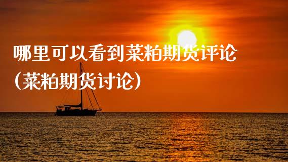 哪里可以看到菜粕期货评论(菜粕期货讨论)_https://www.zghnxxa.com_内盘期货_第1张