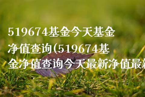 519674基金今天基金净值查询(519674基金净值查询今天最新净值最新股价)_https://www.zghnxxa.com_国际期货_第1张
