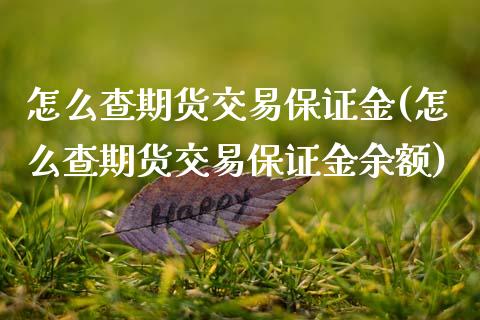 怎么查期货交易保证金(怎么查期货交易保证金余额)_内盘期货_第1张_期货直播室 怎么查期货交易保证金(怎么查期货交易保证金余额)_https://www.zghnxxa.com_内盘期货_第1张