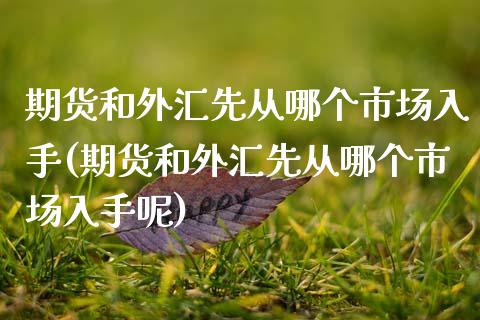 期货和外汇先从哪个市场入手(期货和外汇先从哪个市场入手呢)_https://www.zghnxxa.com_内盘期货_第1张