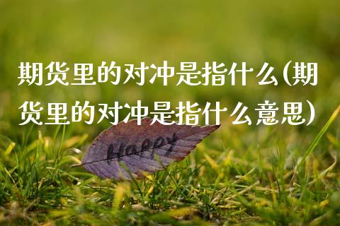 期货里的对冲是指什么(期货里的对冲是指什么意思)_期货直播室_第1张_期货直播室 期货里的对冲是指什么(期货里的对冲是指什么意思)_https://www.zghnxxa.com_期货直播室_第1张