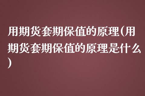 用期货套期保值的原理(用期货套期保值的原理是什么)_https://www.zghnxxa.com_国际期货_第1张