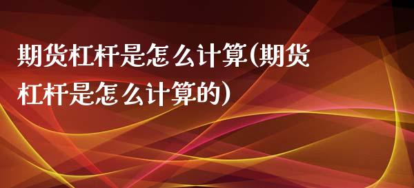 期货杠杆是怎么计算(期货杠杆是怎么计算的)_https://www.zghnxxa.com_国际期货_第1张