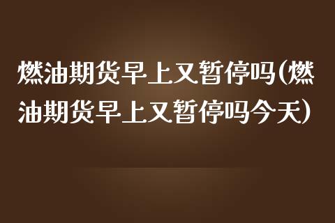 燃油期货早上又暂停吗(燃油期货早上又暂停吗今天)_https://www.zghnxxa.com_国际期货_第1张