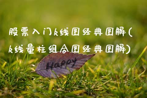 股票入门k线图经典图解(k线量柱组合图经典图解)_期货直播室_第1张_期货直播室 股票入门k线图经典图解(k线量柱组合图经典图解)_https://www.zghnxxa.com_期货直播室_第1张