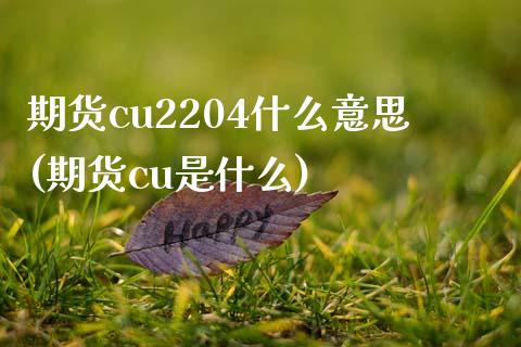 期货cu2204什么意思(期货cu是什么)_https://www.zghnxxa.com_黄金期货_第1张