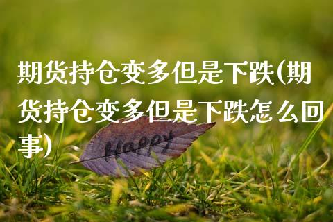 期货持仓变多但是下跌(期货持仓变多但是下跌怎么回事)_https://www.zghnxxa.com_黄金期货_第1张