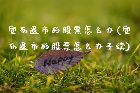 宣布退市的股票怎么办(宣布退市的股票怎么办手续)_https://www.zghnxxa.com_内盘期货_第1张