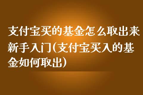 支付宝买的基金怎么取出来新手入门(支付宝买入的基金如何取出)_https://www.zghnxxa.com_内盘期货_第1张