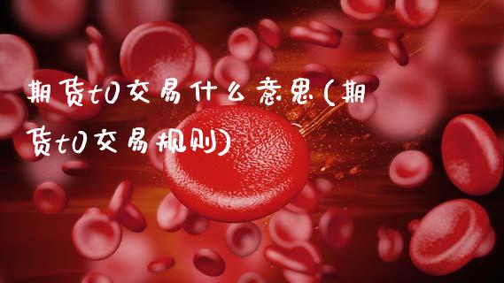 期货t0交易什么意思(期货t0交易规则)_https://www.zghnxxa.com_期货直播室_第1张