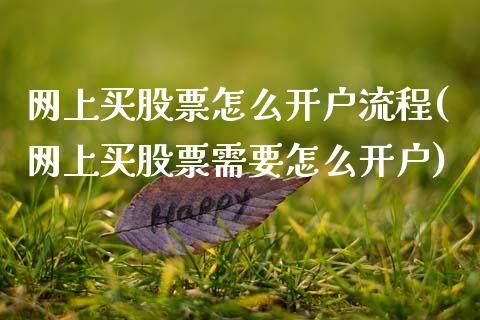 网上买股票怎么开户流程(网上买股票需要怎么开户)_https://www.zghnxxa.com_期货直播室_第1张