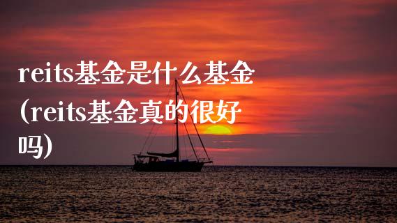 reits基金是什么基金(reits基金真的很好吗)_内盘期货_第1张_期货直播室 reits基金是什么基金(reits基金真的很好吗)_https://www.zghnxxa.com_内盘期货_第1张