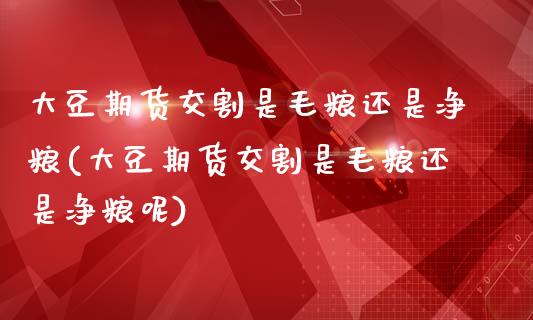 大豆期货交割是毛粮还是净粮(大豆期货交割是毛粮还是净粮呢)_https://www.zghnxxa.com_内盘期货_第1张
