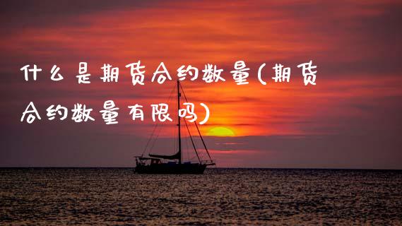 什么是期货合约数量(期货合约数量有限吗)_https://www.zghnxxa.com_黄金期货_第1张