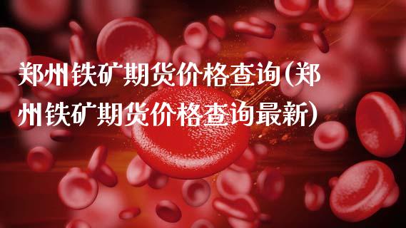 郑州铁矿期货价格查询(郑州铁矿期货价格查询最新)_https://www.zghnxxa.com_期货直播室_第1张
