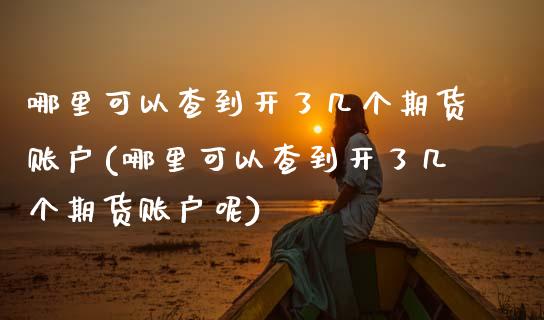 哪里可以查到开了几个期货账户(哪里可以查到开了几个期货账户呢)_内盘期货_第1张_期货直播室 哪里可以查到开了几个期货账户(哪里可以查到开了几个期货账户呢)_https://www.zghnxxa.com_内盘期货_第1张