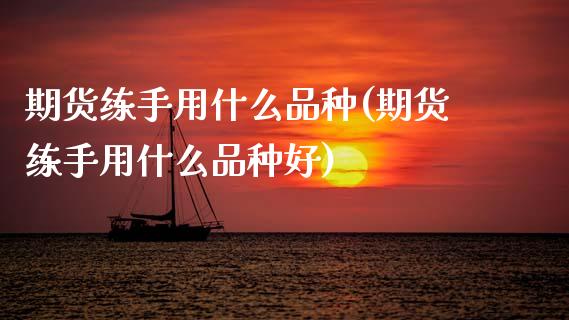 期货练手用什么品种(期货练手用什么品种好)_期货直播室_第1张_期货直播室 期货练手用什么品种(期货练手用什么品种好)_https://www.zghnxxa.com_期货直播室_第1张