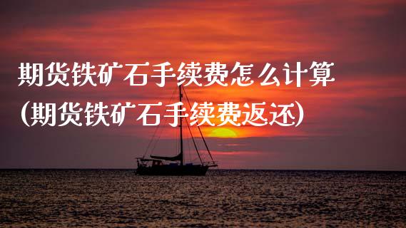 期货铁矿石手续费怎么计算(期货铁矿石手续费返还)_https://www.zghnxxa.com_内盘期货_第1张