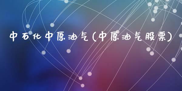 中石化中原油气(中原油气股票)_内盘期货_第1张_期货直播室 中石化中原油气(中原油气股票)_https://www.zghnxxa.com_内盘期货_第1张