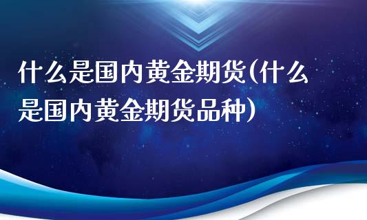 什么是国内黄金期货(什么是国内黄金期货品种)_https://www.zghnxxa.com_国际期货_第1张