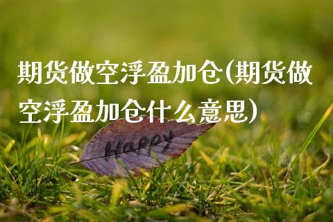 期货做空浮盈加仓(期货做空浮盈加仓什么意思)_https://www.zghnxxa.com_黄金期货_第1张