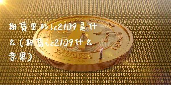 期货里的lc2109是什么(期货ic2109什么意思)_https://www.zghnxxa.com_期货直播室_第1张