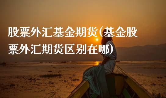 股票外汇基金期货(基金股票外汇期货区别在哪)_https://www.zghnxxa.com_期货直播室_第1张