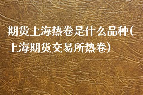 期货上海热卷是什么品种(上海期货交易所热卷)_https://www.zghnxxa.com_黄金期货_第1张