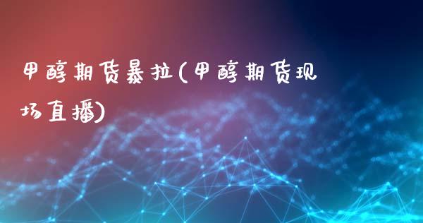 甲醇期货暴拉(甲醇期货现场直播)_https://www.zghnxxa.com_黄金期货_第1张