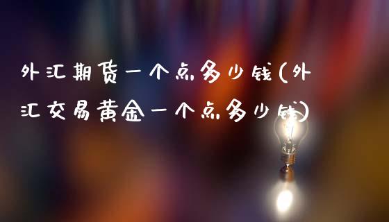 外汇期货一个点多少钱(外汇交易黄金一个点多少钱)_https://www.zghnxxa.com_内盘期货_第1张