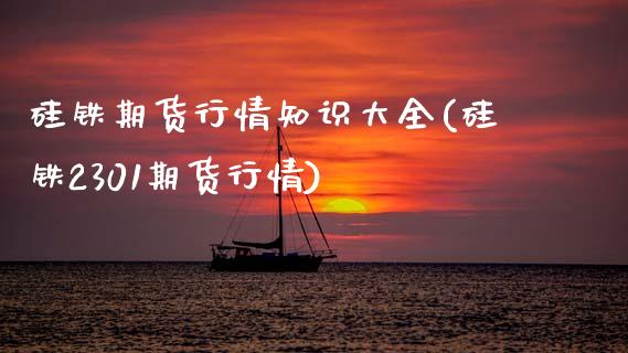 硅铁期货行情知识大全(硅铁2301期货行情)_https://www.zghnxxa.com_内盘期货_第1张