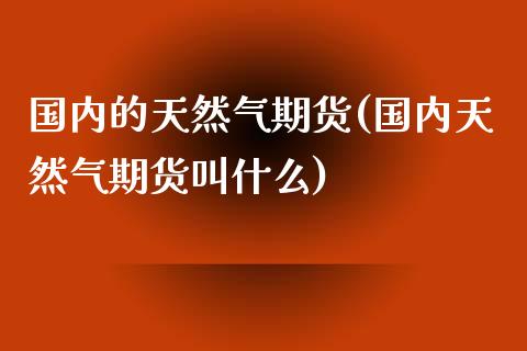 国内的天然气期货(国内天然气期货叫什么)_https://www.zghnxxa.com_国际期货_第1张