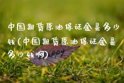 中国期货原油保证金是多少钱(中国期货原油保证金是多少钱啊)_https://www.zghnxxa.com_内盘期货_第1张