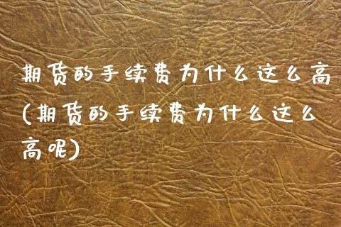 期货的手续费为什么这么高(期货的手续费为什么这么高呢)_https://www.zghnxxa.com_内盘期货_第1张