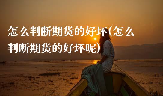 怎么判断期货的好坏(怎么判断期货的好坏呢)_https://www.zghnxxa.com_期货直播室_第1张