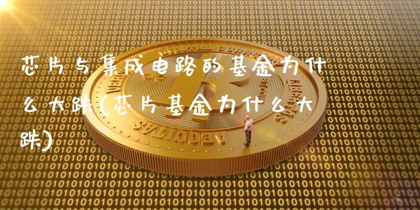 芯片与集成电路的基金为什么大跌(芯片基金为什么大跌)_https://www.zghnxxa.com_内盘期货_第1张