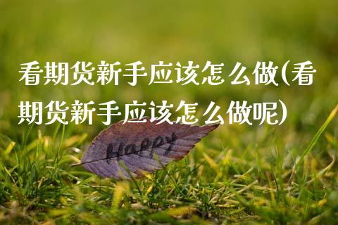 看期货新手应该怎么做(看期货新手应该怎么做呢)_https://www.zghnxxa.com_国际期货_第1张