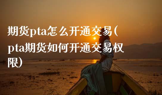 期货pta怎么开通交易(pta期货如何开通交易权限)_https://www.zghnxxa.com_黄金期货_第1张